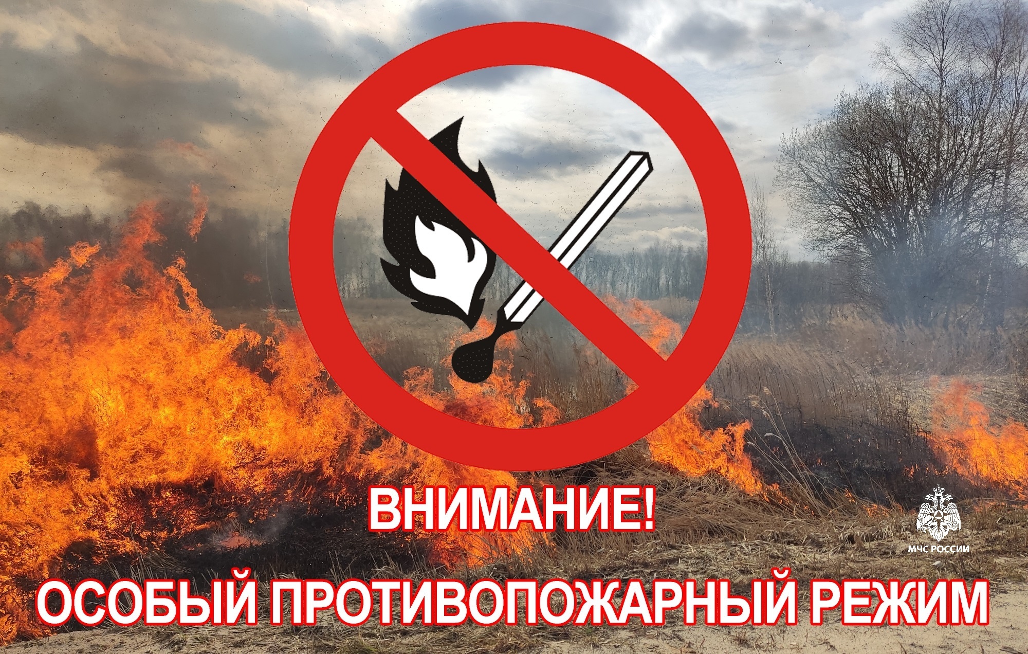 Введение особого противопожарного режима.